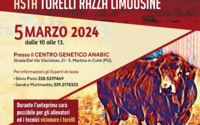 Anteprima Asta Torelli Razza Limousine 5 marzo 2024