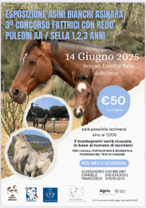 Locandina Dorgali