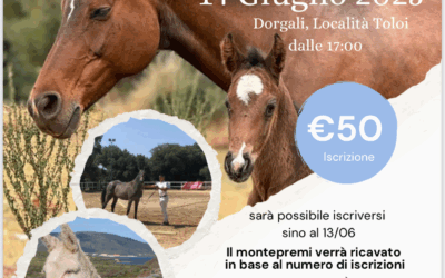 Aperte le adesioni all’esposizione asini Asinara e concorso fattrici con redo e puledri di Dorgali